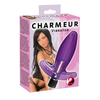 PLUG ANALE VIBRANTE "CHARMEUR"